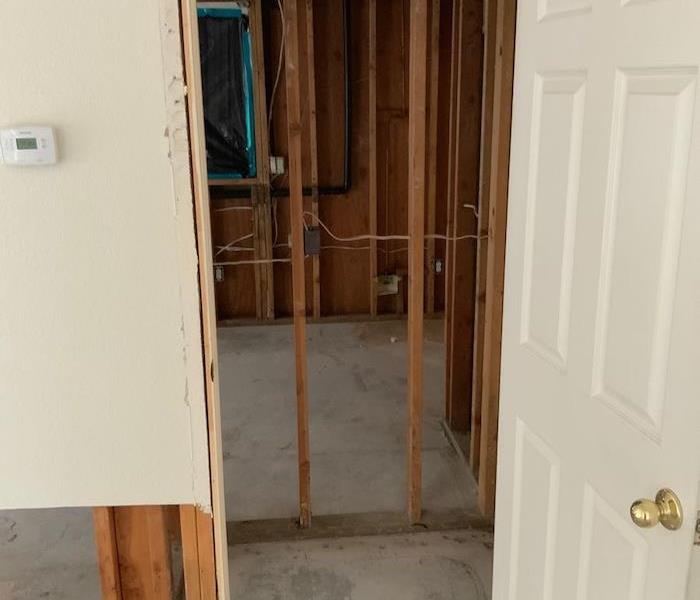 Mold with sheetrock and floor coverings removed down to the framework