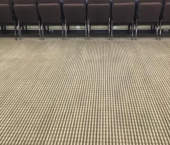 Carpet after being cleaned by SERVPRO of North Sacramento