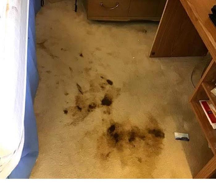 Carpet with dark stains 