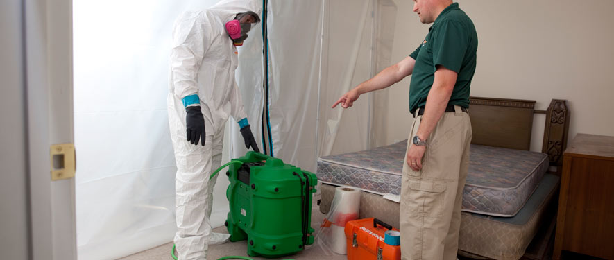 Sacramento, CA mold removal process